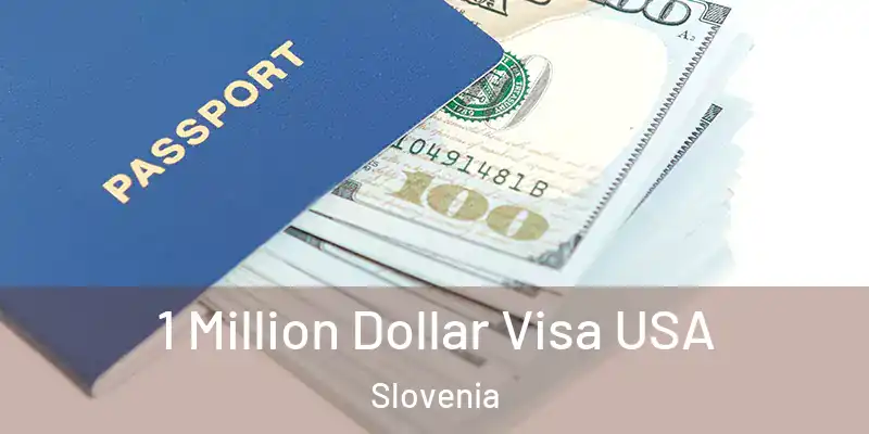  1 Million Dollar Visa USA Slovenia