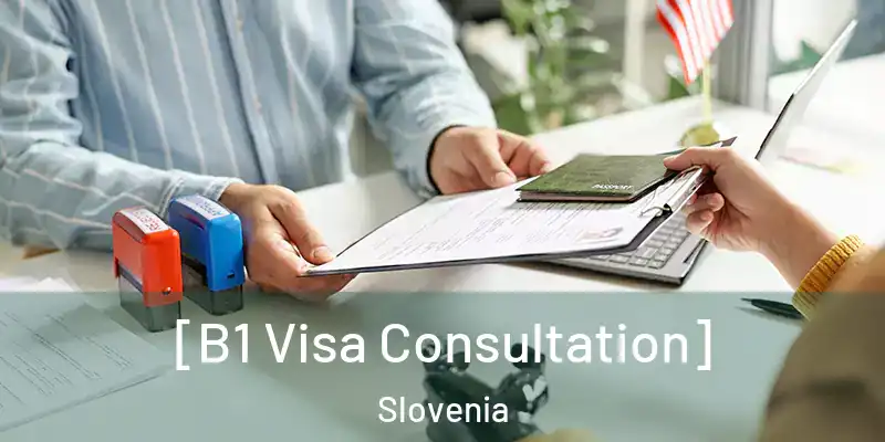  [B1 Visa Consultation] Slovenia