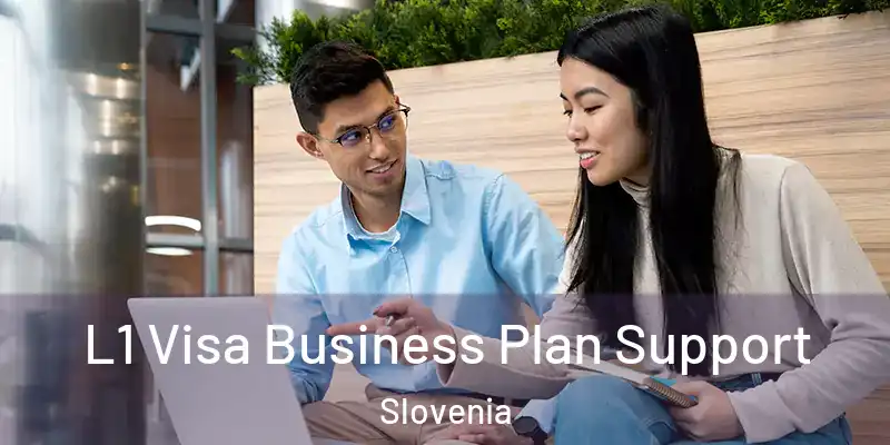  L1 Visa Business Plan Support Slovenia