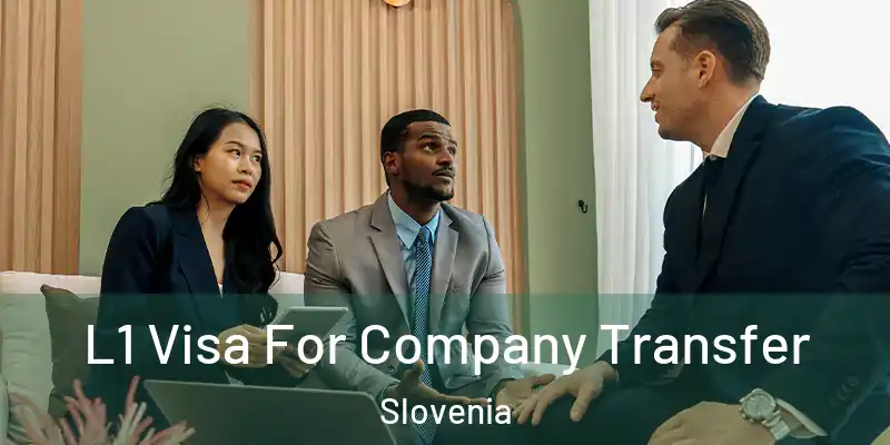  L1 Visa For Company Transfer Slovenia
